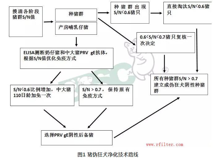 規(guī)模豬場如何凈化控制疫??？空氣過濾系統(tǒng)如何阻擋藍(lán)耳病毒株呢？